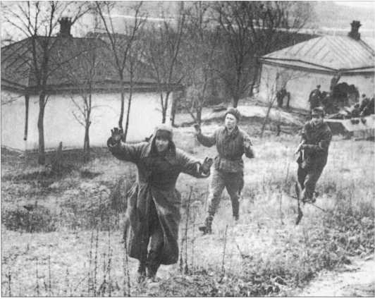 Иллюстрация к книге — Wehrmacht. Сухопутные войска III Рейха [i_098.jpg]