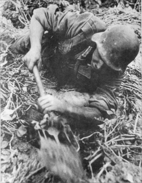 Иллюстрация к книге — Wehrmacht. Сухопутные войска III Рейха [i_114.jpg]