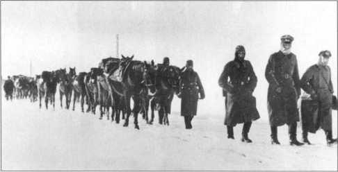 Иллюстрация к книге — Wehrmacht. Сухопутные войска III Рейха [i_115.jpg]