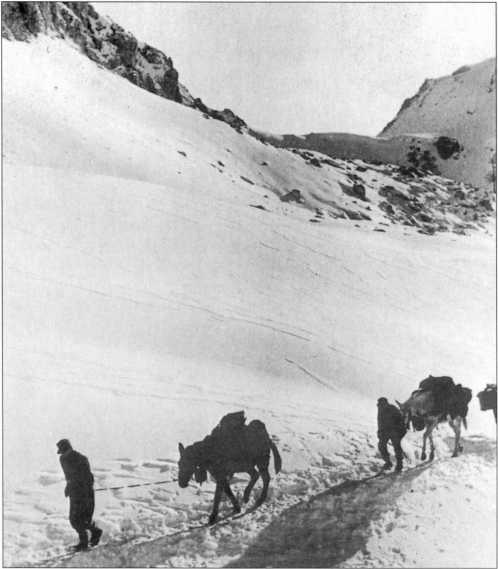 Иллюстрация к книге — Wehrmacht. Сухопутные войска III Рейха [i_120.jpg]