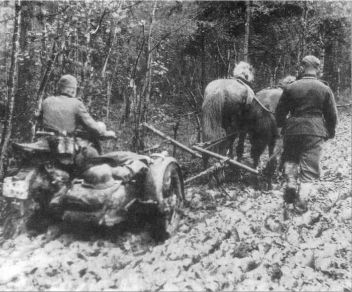 Иллюстрация к книге — Wehrmacht. Сухопутные войска III Рейха [i_136.jpg]