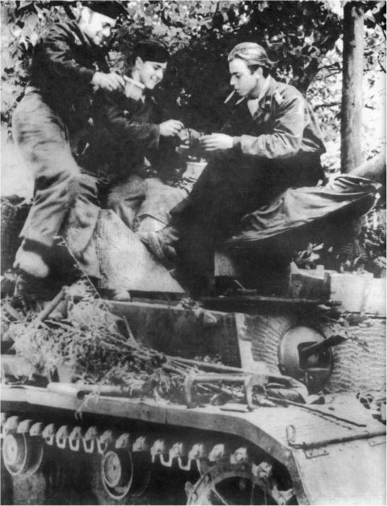 Иллюстрация к книге — Wehrmacht. Сухопутные войска III Рейха [i_165.jpg]