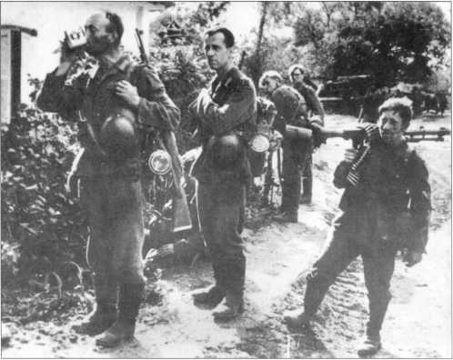 Иллюстрация к книге — Wehrmacht. Сухопутные войска III Рейха [i_171.jpg]