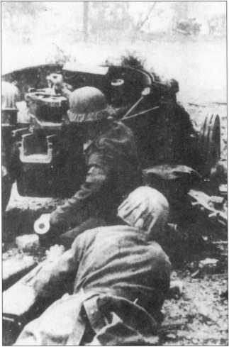 Иллюстрация к книге — Wehrmacht. Сухопутные войска III Рейха [i_176.jpg]