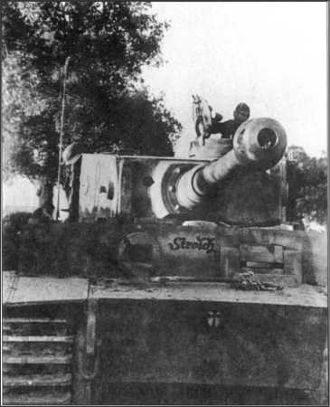 Иллюстрация к книге — Wehrmacht. Сухопутные войска III Рейха [i_192.jpg]