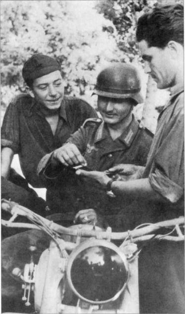 Иллюстрация к книге — Wehrmacht. Сухопутные войска III Рейха [i_198.jpg]