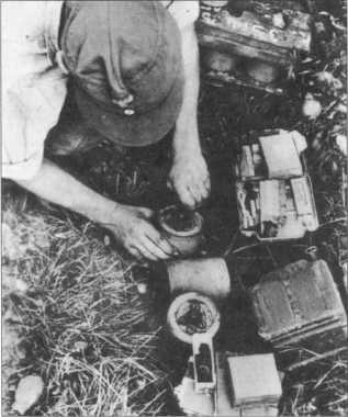 Иллюстрация к книге — Wehrmacht. Сухопутные войска III Рейха [i_200.jpg]