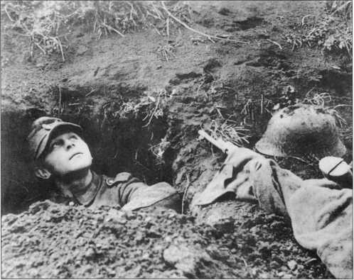 Иллюстрация к книге — Wehrmacht. Сухопутные войска III Рейха [i_216.jpg]