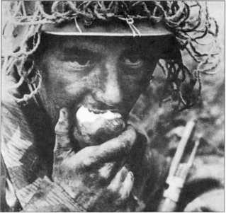 Иллюстрация к книге — Wehrmacht. Сухопутные войска III Рейха [i_221.jpg]