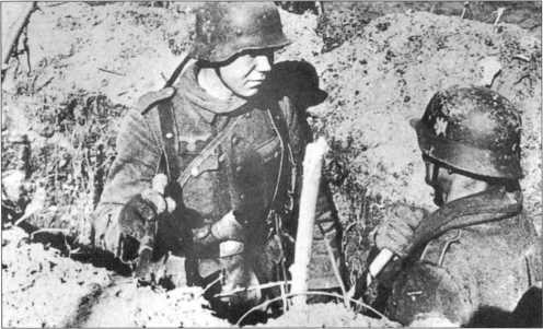 Иллюстрация к книге — Wehrmacht. Сухопутные войска III Рейха [i_222.jpg]