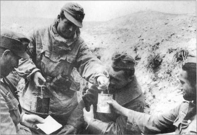 Иллюстрация к книге — Wehrmacht. Сухопутные войска III Рейха [i_240.jpg]