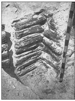 Иллюстрация к книге — Русские крепости и осадная техника VIII-XVII вв. [i_016.jpg]