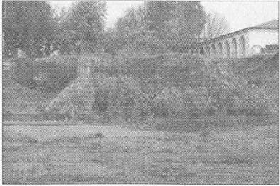 Иллюстрация к книге — Забытые битвы империи [i_008.jpg]