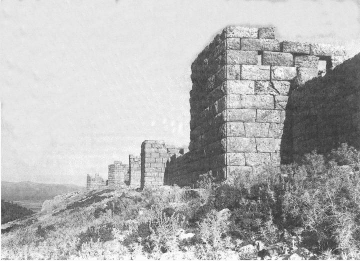 Иллюстрация к книге — Искусство осады. Знаменитые штурмы и осады античности [i_040.jpg]