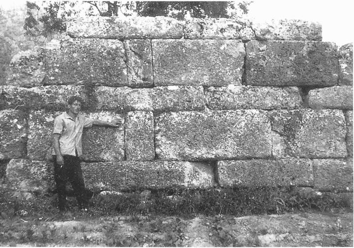 Иллюстрация к книге — Искусство осады. Знаменитые штурмы и осады античности [i_099.jpg]