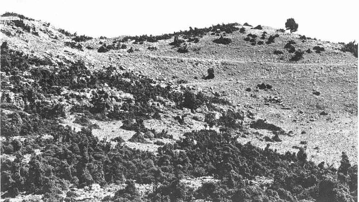 Иллюстрация к книге — Искусство осады. Знаменитые штурмы и осады античности [i_141.jpg]