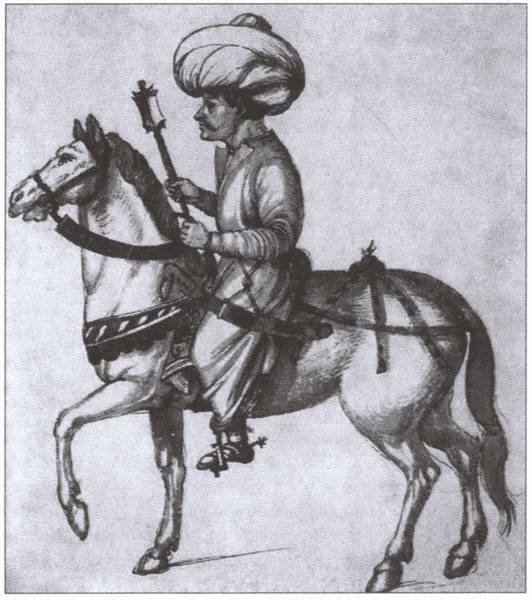 Иллюстрация к книге — Босфорская война [i_015.jpg]