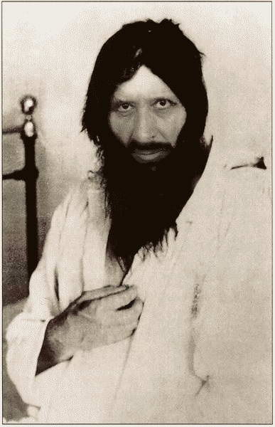 Иллюстрация к книге — Россия в годы Первой мировой войны. Экономическое  положение, социальные процессы, политический кризис [i_057.jpg]