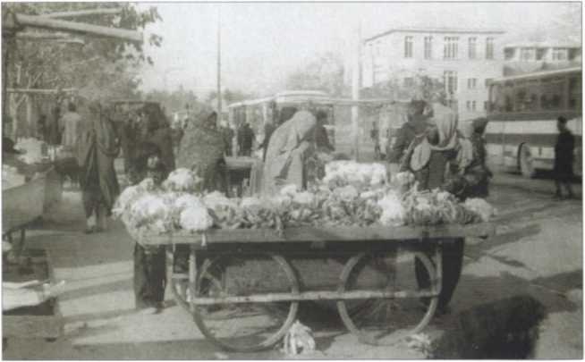 Иллюстрация к книге — &quot;Каскад&quot; и &quot;Омега&quot; [image143.jpg]