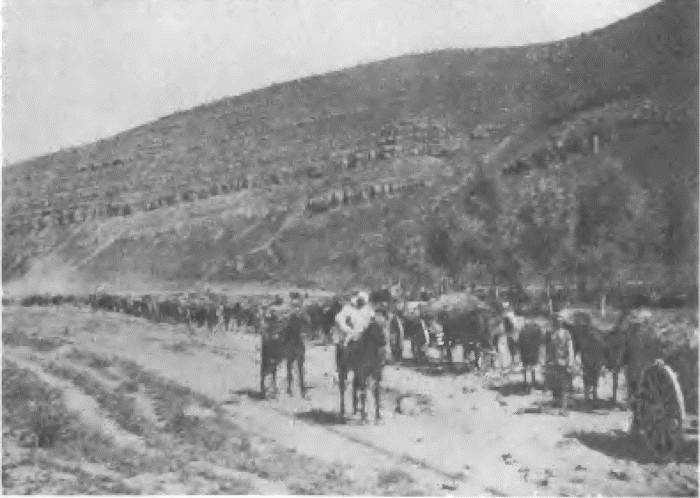 Иллюстрация к книге — Падение Порт-Артура [i_066.jpg]