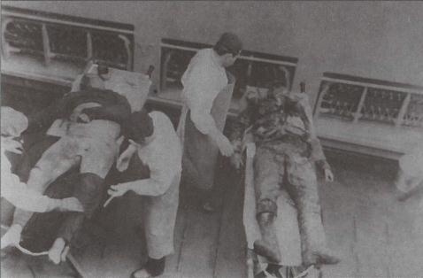 Иллюстрация к книге — &quot;Спасите наши души!&quot;. Неизвестные страницы истории советского ВМФ [img7d25.jpg]