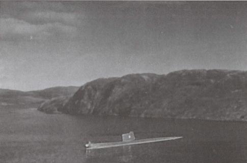 Иллюстрация к книге — &quot;Спасите наши души!&quot;. Неизвестные страницы истории советского ВМФ [imgc877.jpg]