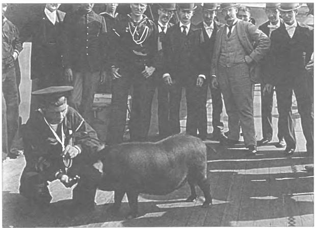 Иллюстрация к книге — "Партизаны" флота. Из истории крейсерства и крейсеров [i_008.jpg]