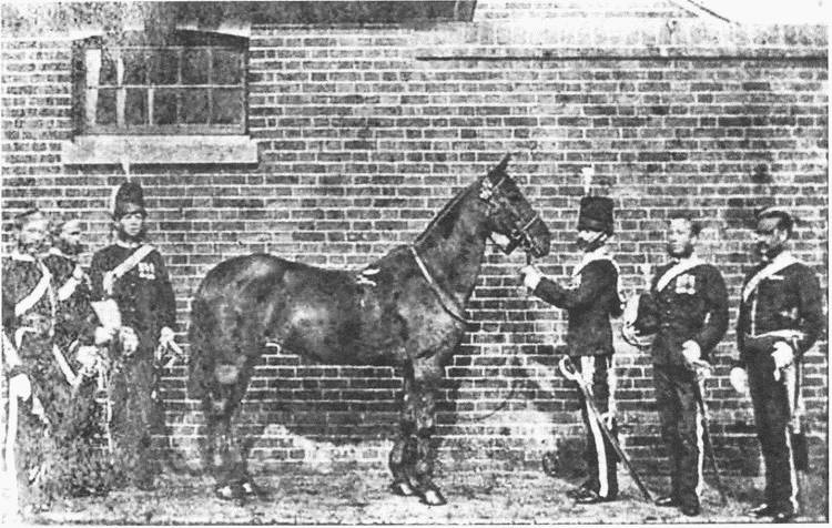 Иллюстрация к книге — От Балаклавы к Инкерману. Часть 4 [i_115.jpg]