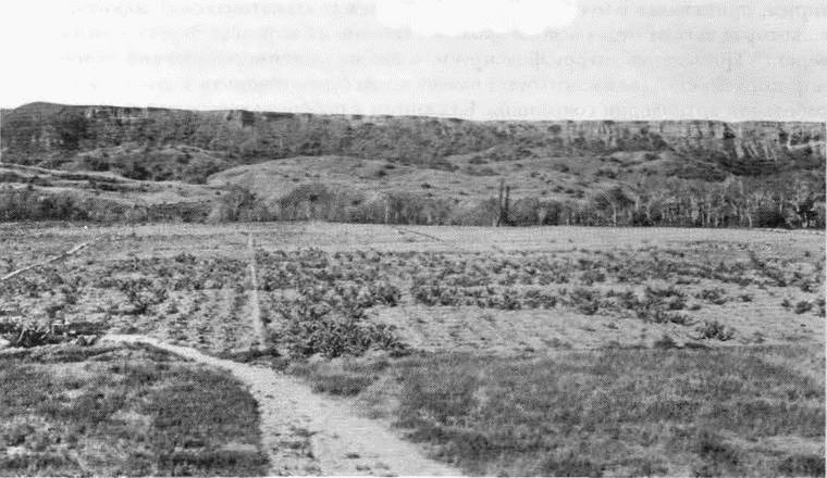 Иллюстрация к книге — Крымская кампания 1854-1856 гг. Восточной войны 1853-1856 гг. Часть 2. Альма [i_024.jpg]