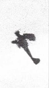 Иллюстрация к книге — Японская императорская военно-морская авиация. 1937-1945 [pic_13.jpg]