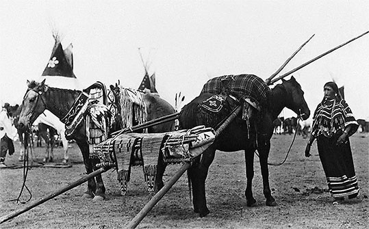 Иллюстрация к книге — Первая энциклопедия Дикого Запада - от A до Z [i_226.jpg]