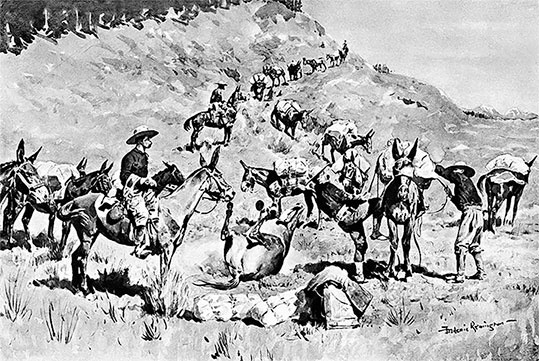 Иллюстрация к книге — Первая энциклопедия Дикого Запада - от A до Z [i_266.jpg]