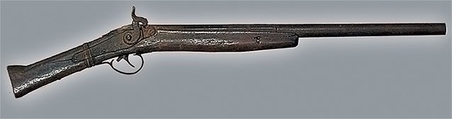 Иллюстрация к книге — Первая энциклопедия Дикого Запада - от A до Z [i_297.jpg]