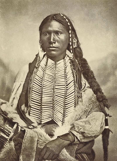 Иллюстрация к книге — Индейцы Дикого Запада в бою. &quot;Хороший день, чтобы умереть!&quot; [i_002.jpg]