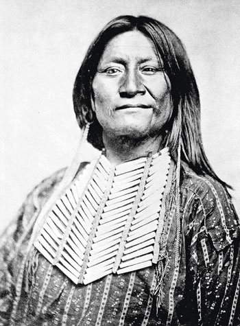 Иллюстрация к книге — Индейцы Дикого Запада в бою. &quot;Хороший день, чтобы умереть!&quot; [i_030.jpg]