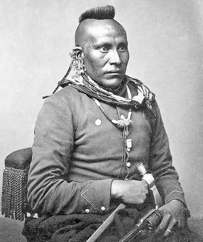 Иллюстрация к книге — Индейцы Дикого Запада в бою. &quot;Хороший день, чтобы умереть!&quot; [i_039.jpg]