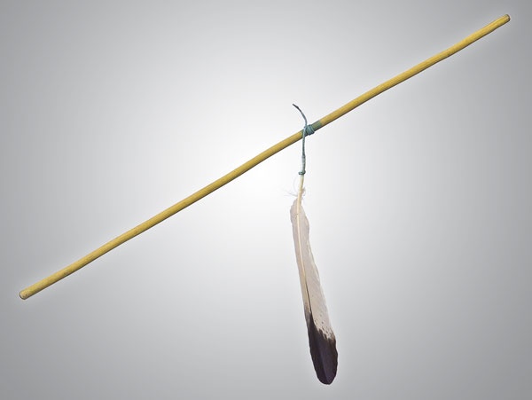 Иллюстрация к книге — Индейцы Дикого Запада в бою. &quot;Хороший день, чтобы умереть!&quot; [i_041.jpg]