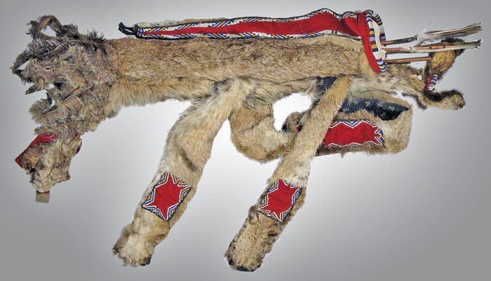 Иллюстрация к книге — Индейцы Дикого Запада в бою. &quot;Хороший день, чтобы умереть!&quot; [i_114.jpg]