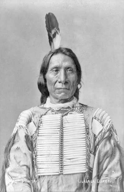 Иллюстрация к книге — Индейцы Дикого Запада в бою. &quot;Хороший день, чтобы умереть!&quot; [i_151.jpg]