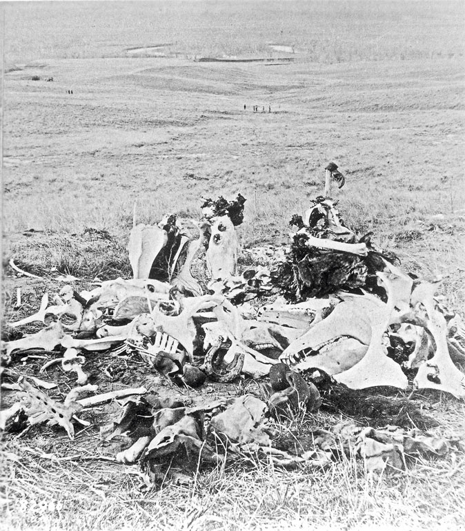 Иллюстрация к книге — Индейцы Дикого Запада в бою. &quot;Хороший день, чтобы умереть!&quot; [i_177.jpg]