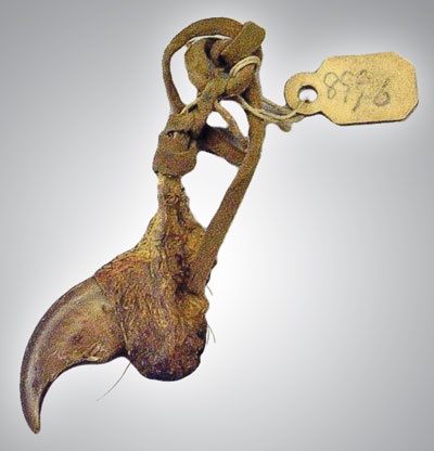 Иллюстрация к книге — Индейцы Дикого Запада в бою. &quot;Хороший день, чтобы умереть!&quot; [i_191.jpg]