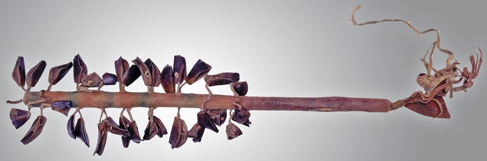 Иллюстрация к книге — Индейцы Дикого Запада в бою. &quot;Хороший день, чтобы умереть!&quot; [i_208.jpg]