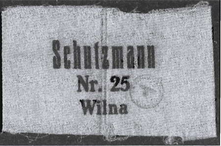 Иллюстрация к книге — Литовские полицейские батальоны. 1941-1945 годы [i_031.jpg]
