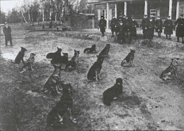 Иллюстрация к книге — Литовские полицейские батальоны. 1941-1945 годы [i_041.jpg]