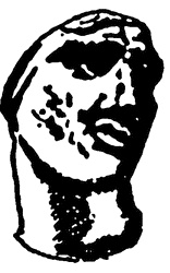 Иллюстрация к книге — Войны античного мира. Походы Пирра [i_008.jpg]