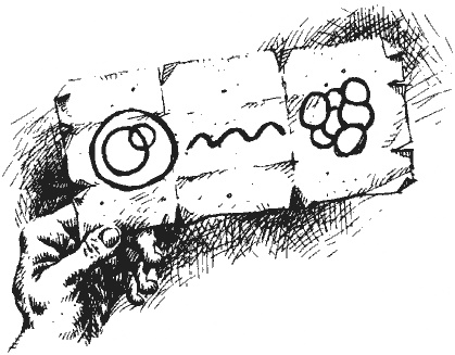 Иллюстрация к книге — Изумительный Морис и его ученые грызуны [i_007.jpg]