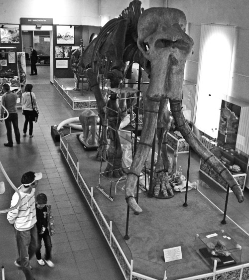 Иллюстрация к книге — Тайны Марса [i_038.jpg]