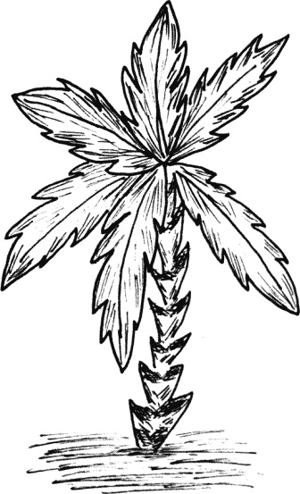 Иллюстрация к книге — Что такое &quot;люблю&quot; [_007.jpg]