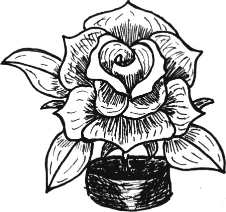 Иллюстрация к книге — Что такое &quot;люблю&quot; [_033.jpg]