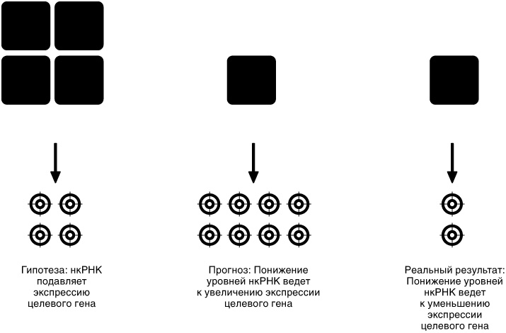Иллюстрация к книге — Эпигенетика. Как современная биология переписывает наши представления о генетике, заболеваниях и наследственности [i_031.jpg]